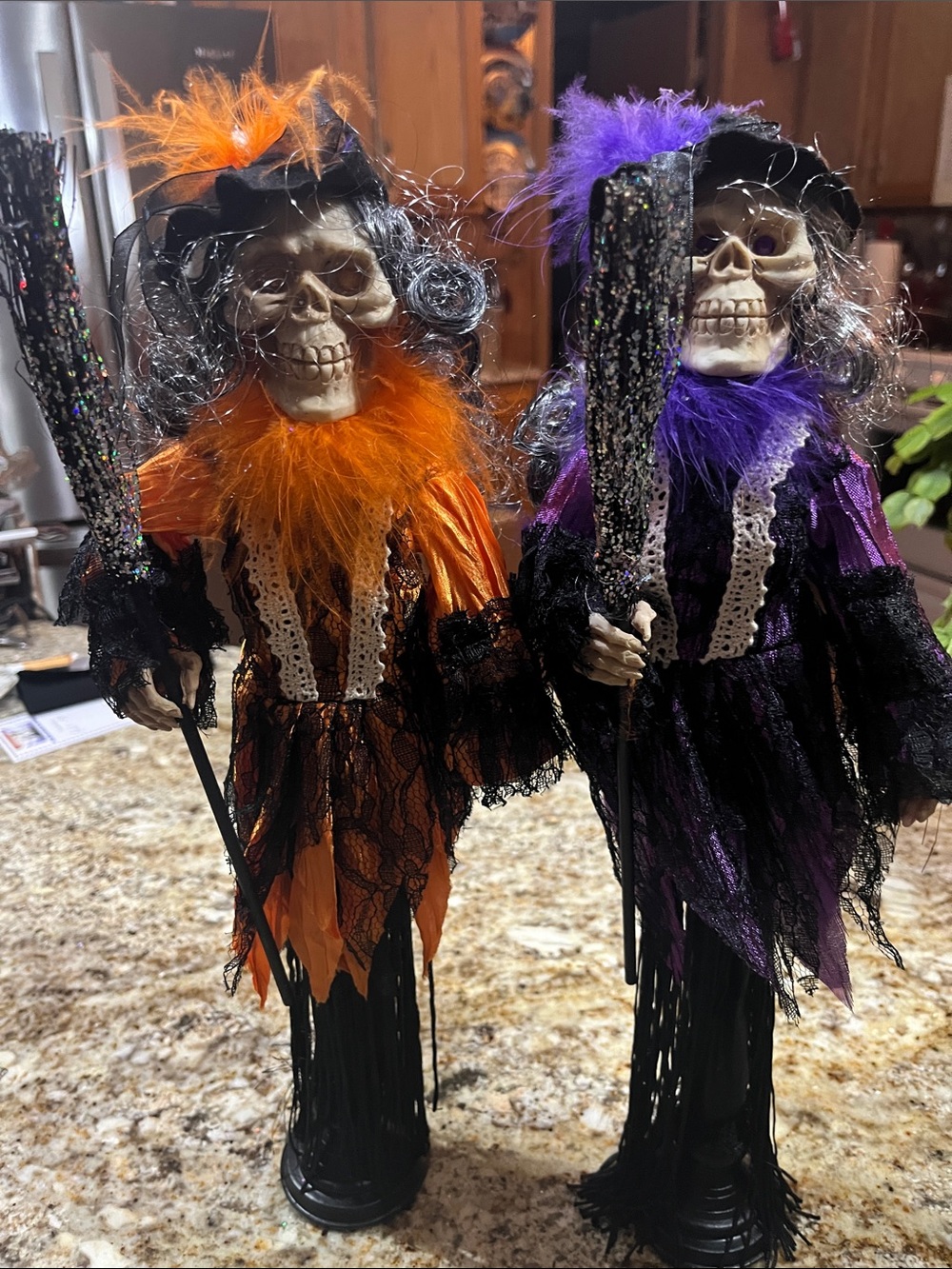 Spooky Skeleton Witch Décor Set - Orange & Purple